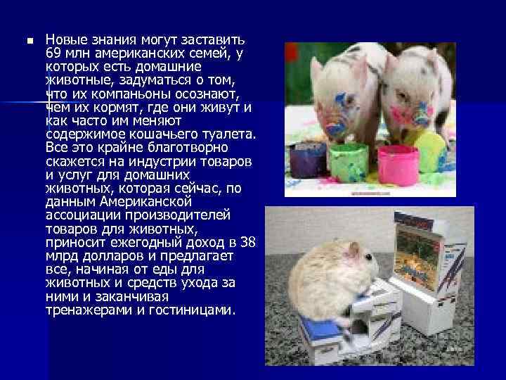 n Новые знания могут заставить 69 млн американских семей, у которых есть домашние животные,
