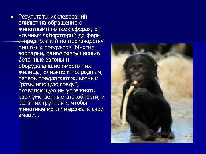 n Результаты исследований влияют на обращение с животными во всех сферах, от научных лабораторий