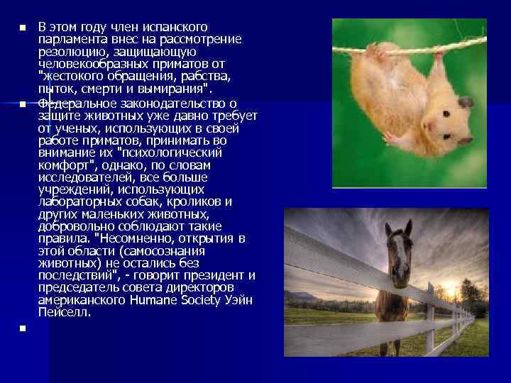 n n n В этом году член испанского парламента внес на рассмотрение резолюцию, защищающую
