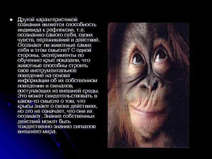 l Другой характеристикой сознания является способность индивида к рефлексии, т. е. осознанию самого себя,