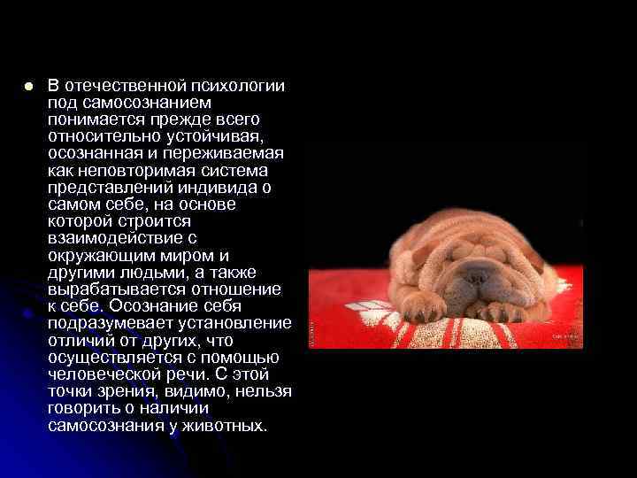 l В отечественной психологии под самосознанием понимается прежде всего относительно устойчивая, осознанная и переживаемая