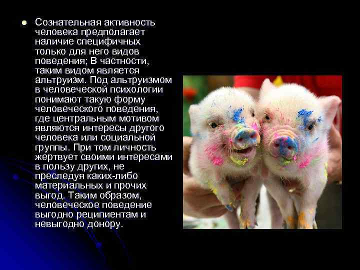 l Сознательная активность человека предполагает наличие специфичных только для него видов поведения; В частности,