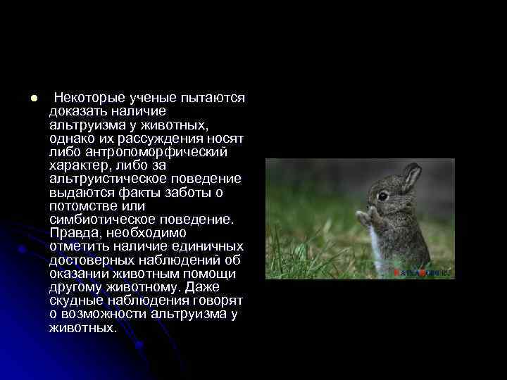 l Некоторые ученые пытаются доказать наличие альтруизма у животных, однако их рассуждения носят либо