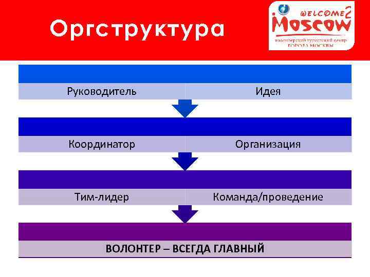 За что отвечает координатор в волонтерском проекте