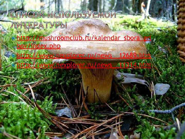  http: //mushroomclub. ru/kalendar_sbora_gri bov/index. php http: //www. nexplorer. ru/news__12689. htm http: //www. nexplorer.