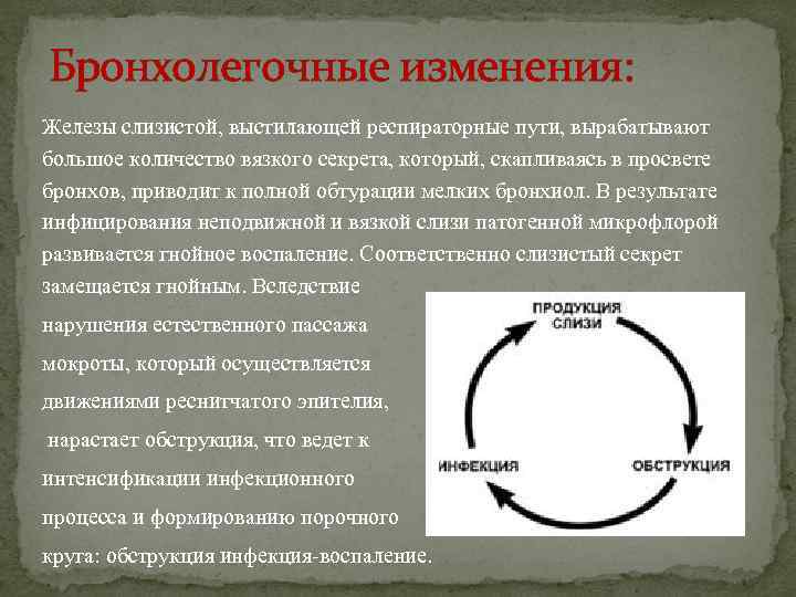 Бронхолегочные изменения: Железы слизистой, выстилающей респираторные пути, вырабатывают большое количество вязкого секрета, который, скапливаясь