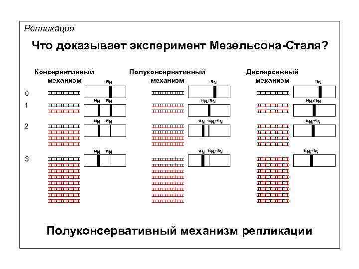 Репликация что это в компьютере