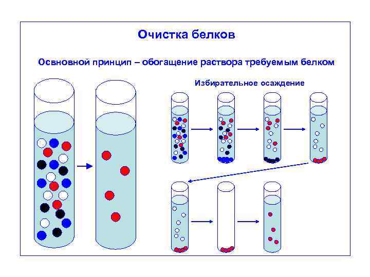 Очистка белков Освновной принцип – обогащение раствора требуемым белком Избирательное осаждение 