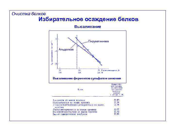 Очистка белков Избирательное осаждение белков Высаливание Пируваткиназа Альдолаза Высаливание ферментов сульфатом аммония 