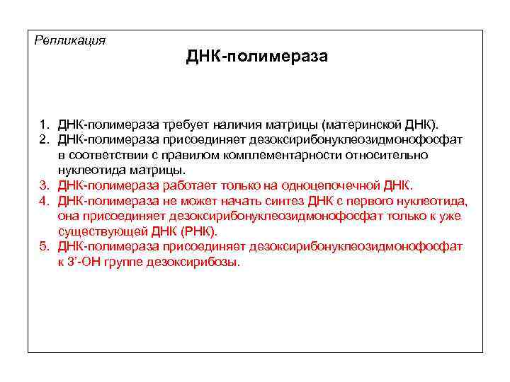 Репликация ДНК-полимераза 1. ДНК-полимераза требует наличия матрицы (материнской ДНК). 2. ДНК-полимераза присоединяет дезоксирибонуклеозидмонофосфат в