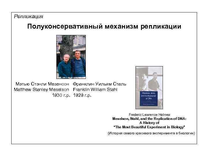 Репликация Полуконсервативный механизм репликации PNAS. -2004. -V. 101. -No. 52. -P. 17889 -17894 Мэтью