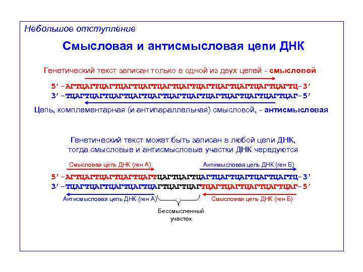 Верхняя цепь смысловая нижняя транскрибируемая. Матричная и смысловая цепь ДНК. Смысловая и транскрибируемая цепь ДНК. Смысловая и транскрибируемая цепь ДНК решение задач. Смысловая и антисмысловая цепь.