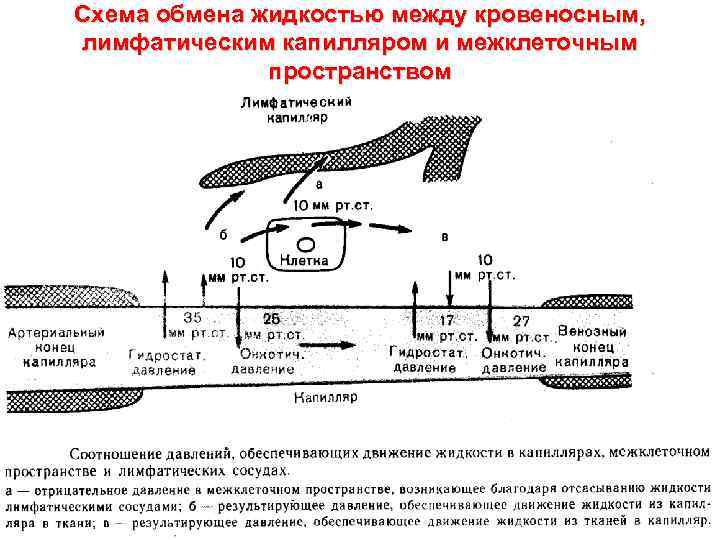 Обмен механизм обмена