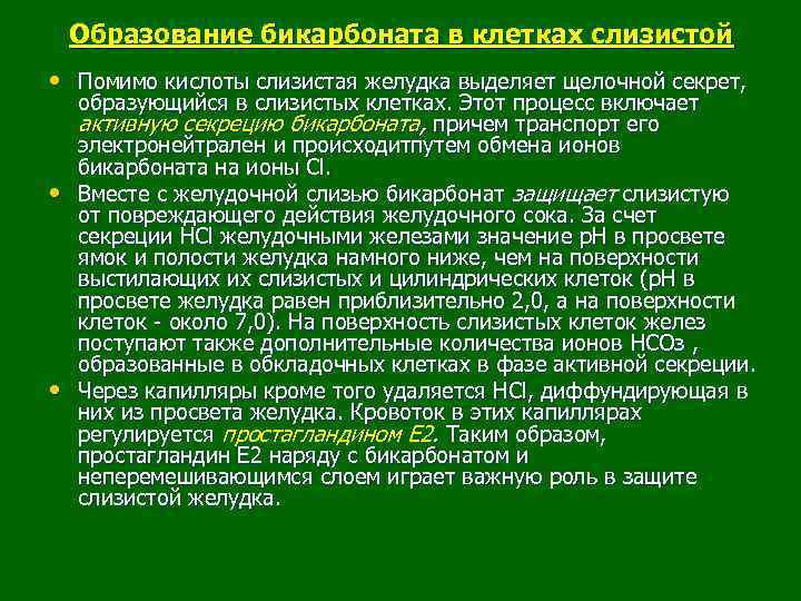 Образование бикарбоната в клетках слизистой • Помимо кислоты слизистая желудка выделяет щелочной секрет, •