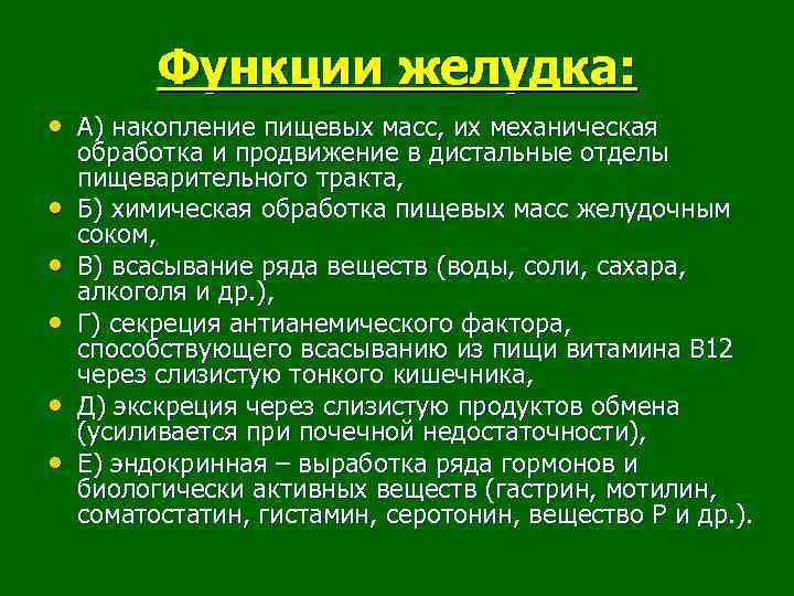 Функции желудка: • А) накопление пищевых масс, их механическая • • • обработка и