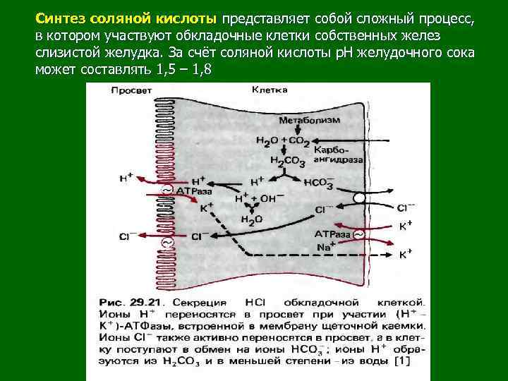 Схема образования соляной кислоты