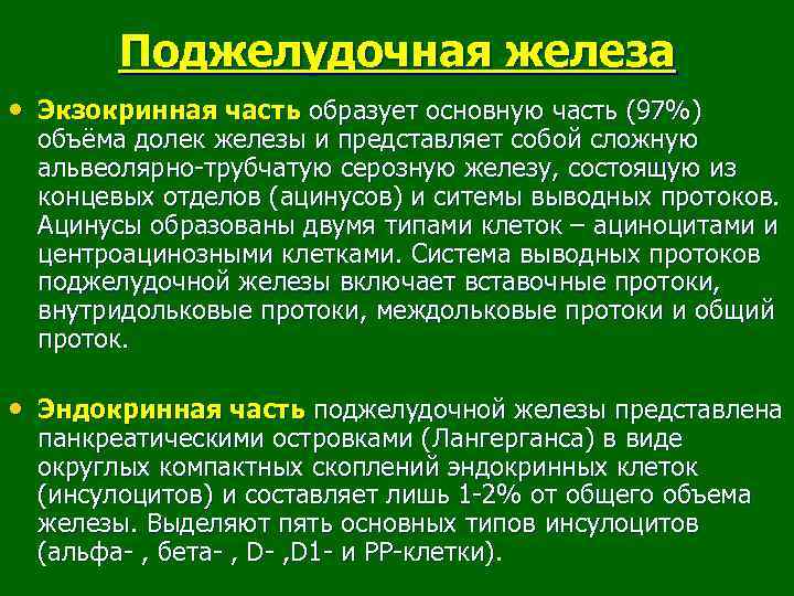 Поджелудочная железа • Экзокринная часть образует основную часть (97%) объёма долек железы и представляет