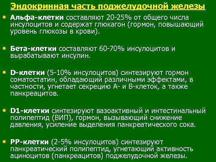 Эндокринная часть поджелудочной железы • Альфа клетки составляют 20 -25% от общего числа инсулоцитов