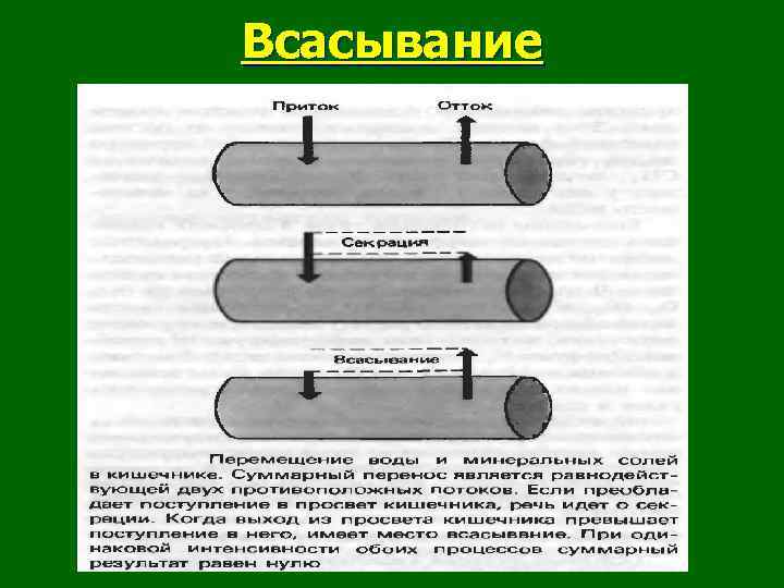 Всасывание 