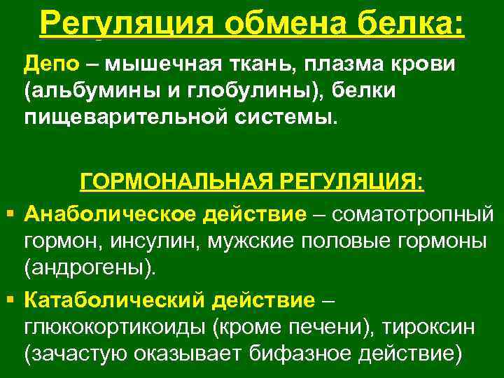 Регуляция обмена белка: Депо – мышечная ткань, плазма крови (альбумины и глобулины), белки пищеварительной
