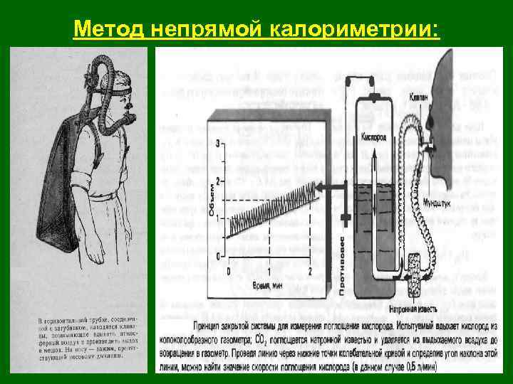 Метод непрямой калориметрии: 