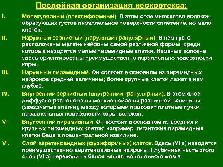 Послойная организация неокортекса: I. III. IV. VI. Молекулярный (плексиформный). В этом слое множество волокон,