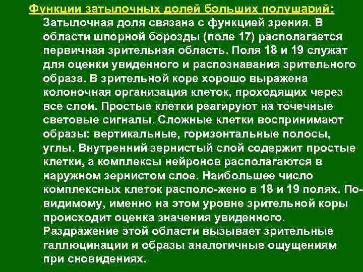 Функции затылочных долей больших полушарий: Затылочная доля связана с функцией зрения. В области шпорной