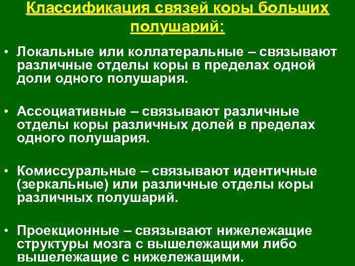 Классификация связей коры больших полушарий: • Локальные или коллатеральные – связывают различные отделы коры