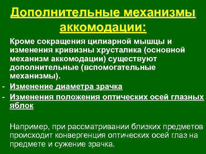 Дополнительные механизмы аккомодации: Кроме сокращения цилиарной мышцы и изменения кривизны хрусталика (основной механизм аккомодации)