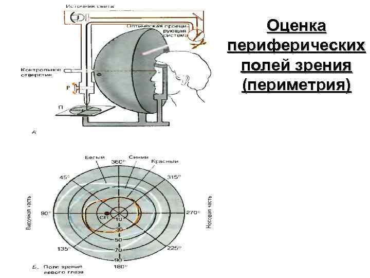 Блок схема зрительной сенсорной системы