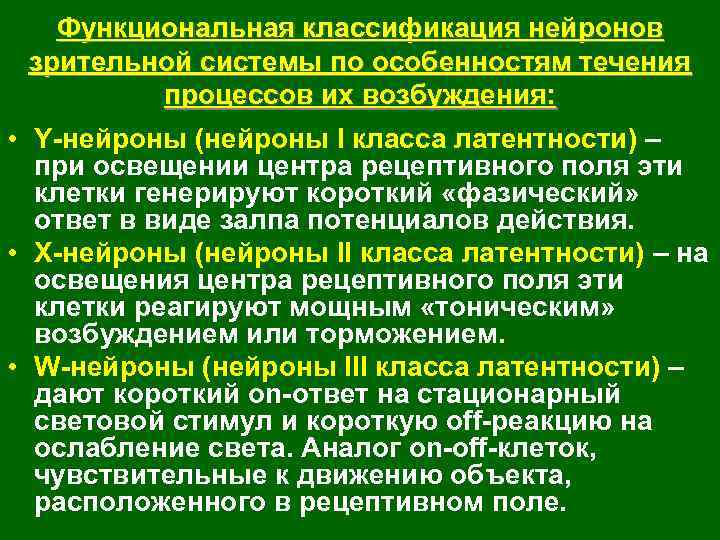 Функциональная классификация нейронов зрительной системы по особенностям течения процессов их возбуждения: • Y-нейроны (нейроны
