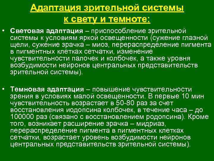 Адаптация зрительной системы к свету и темноте: • Световая адаптация – приспособление зрительной системы