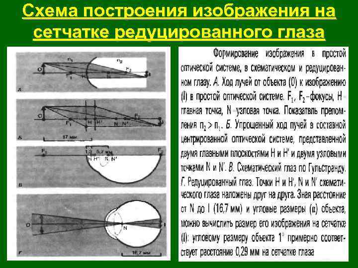 Схема построения изображения на сетчатке редуцированного глаза 