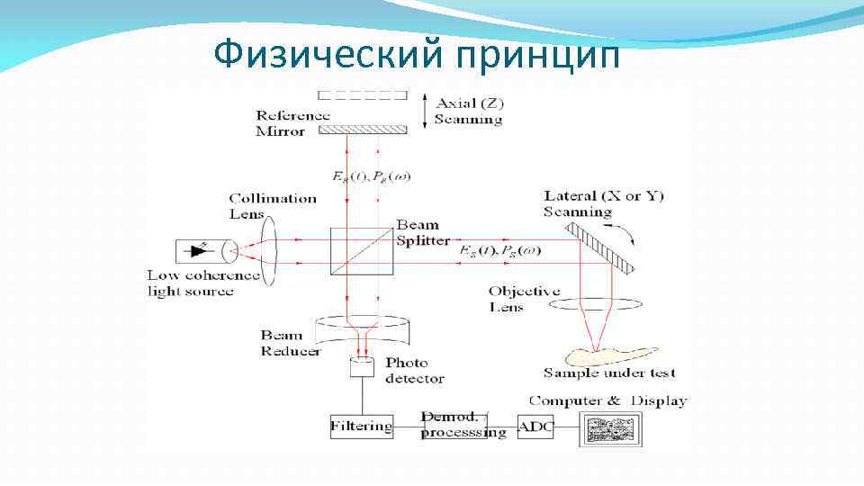 Физический принцип 