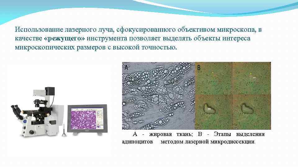 Использование лазерного луча, сфокусированного объективом микроскопа, в качестве «режущего» инструмента позволяет выделять объекты интереса