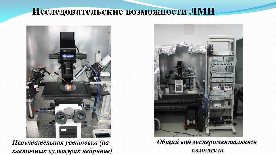 Исследовательские возможности ЛМН Испытательная установка (на клеточных культурах нейронов) Общий вид экспериментального комплекса 