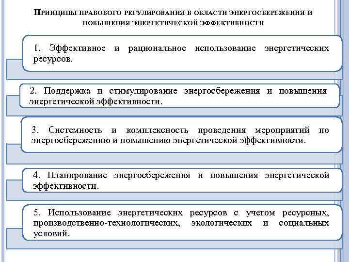 ПРИНЦИПЫ ПРАВОВОГО РЕГУЛИРОВАНИЯ В ОБЛАСТИ ЭНЕРГОСБЕРЕЖЕНИЯ И ПОВЫШЕНИЯ ЭНЕРГЕТИЧЕСКОЙ ЭФФЕКТИВНОСТИ 1. Эффективное и рациональное