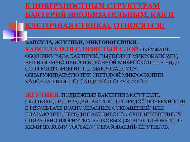К ПОВЕРХНОСТНЫМ СТРУКТУРАМ БАКТЕРИЙ (НЕОБЯЗАТЕЛЬНЫМ, КАК И КЛЕТОЧНАЯ СТЕНКА), ОТНОСЯТСЯ: КАПСУЛА, ЖГУТИКИ, МИКРОВОРСИНКИ. КАПСУЛА