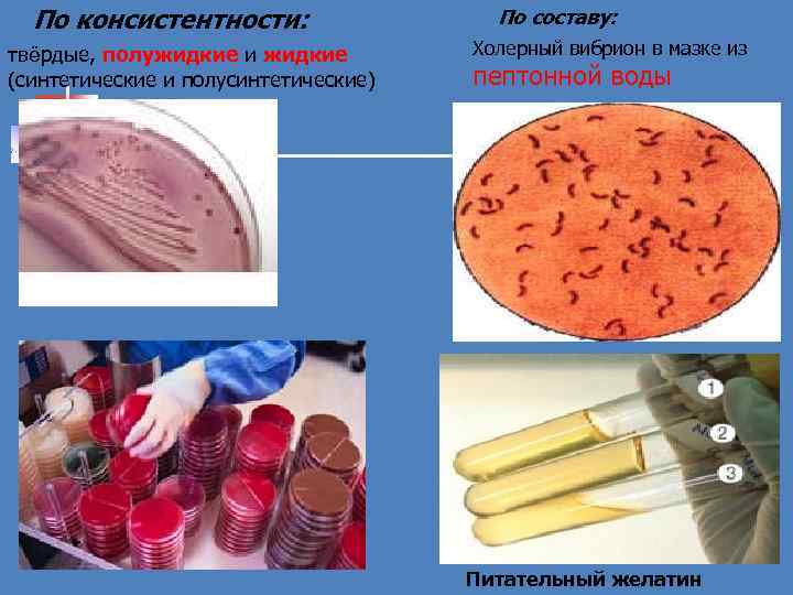 По консистентности: твёрдые, полужидкие и жидкие (синтетические и полусинтетические) По составу: Холерный вибрион в