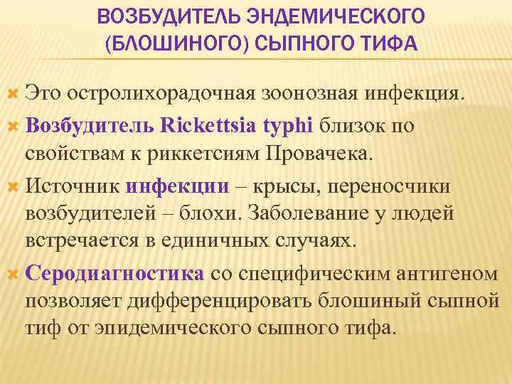 ВОЗБУДИТЕЛЬ ЭНДЕМИЧЕСКОГО (БЛОШИНОГО) СЫПНОГО ТИФА Это остролихорадочная зоонозная инфекция. Возбудитель Rickettsia typhi близок по