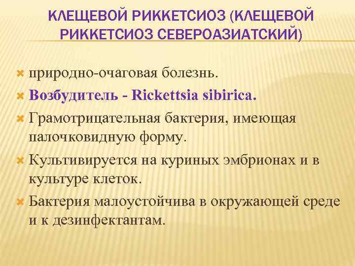 КЛЕЩЕВОЙ РИККЕТСИОЗ (КЛЕЩЕВОЙ РИККЕТСИОЗ СЕВЕРОАЗИАТСКИЙ) природно очаговая болезнь. Возбудитель Rickettsia sibirica. Грамотрицательная бактерия, имеющая