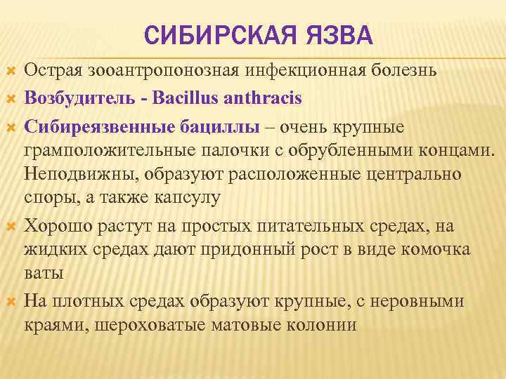 СИБИРСКАЯ ЯЗВА Острая зооантропонозная инфекционная болезнь Возбудитель Bacillus anthracis Сибиреязвенные бациллы – очень крупные