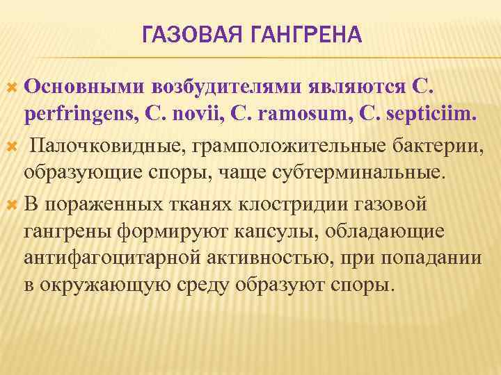 ГАЗОВАЯ ГАНГРЕНА Основными возбудителями являются C. perfringens, C. novii, C. ramosum, C. septiciim. Палочковидные,