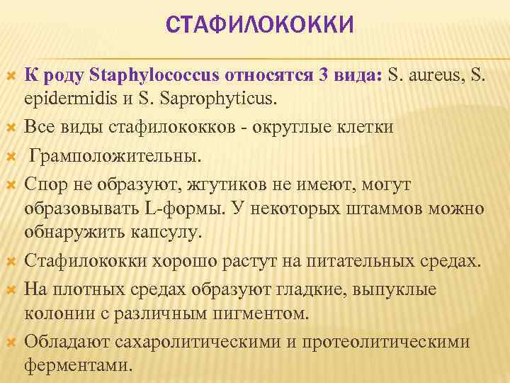 СТАФИЛОКОККИ К роду Staphylococcus относятся 3 вида: S. aureus, S. epidermidis и S. Saprophyticus.