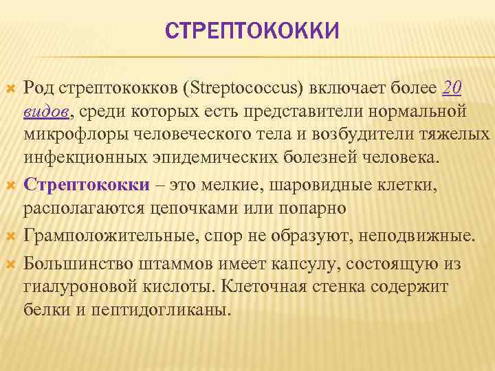 СТРЕПТОКОККИ Род стрептококков (Streptococcus) включает более 20 видов, среди которых есть представители нормальной микрофлоры