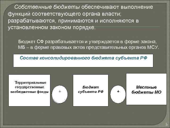 Собственные бюджеты обеспечивают выполнение функций соответствующего органа власти; разрабатываются, принимаются и исполняются в установленном