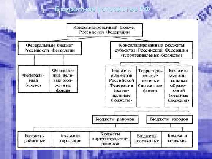 Бюджетное устройство РФ 