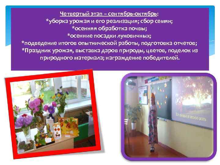 Четвертый этап – сентябрь-октябрь: *уборка урожая и его реализация; сбор семян; *осенняя обработка почвы;