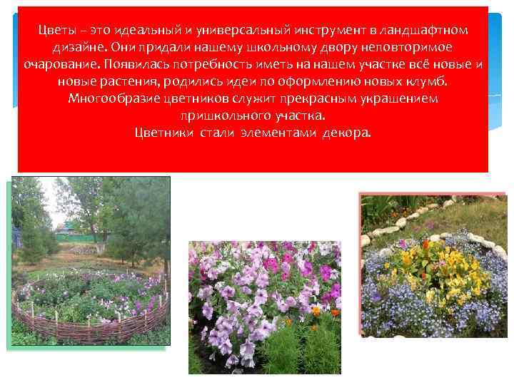 Цветы – это идеальный и универсальный инструмент в ландшафтном дизайне. Они придали нашему школьному