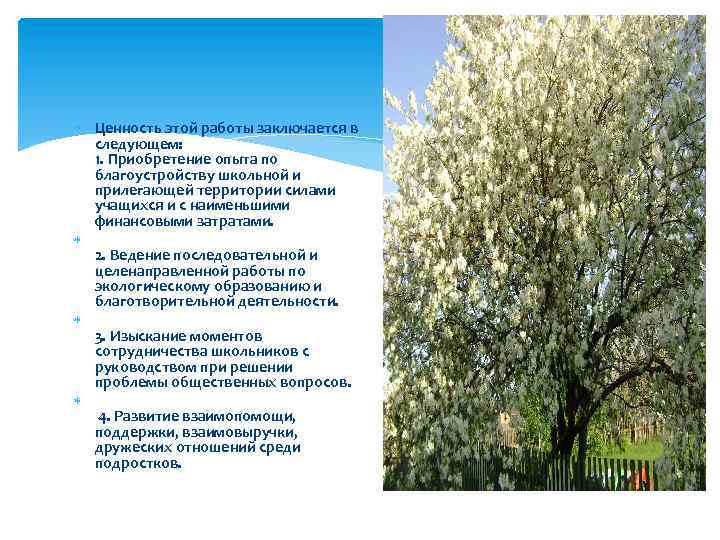  Ценность этой работы заключается в следующем: 1. Приобретение опыта по благоустройству школьной и